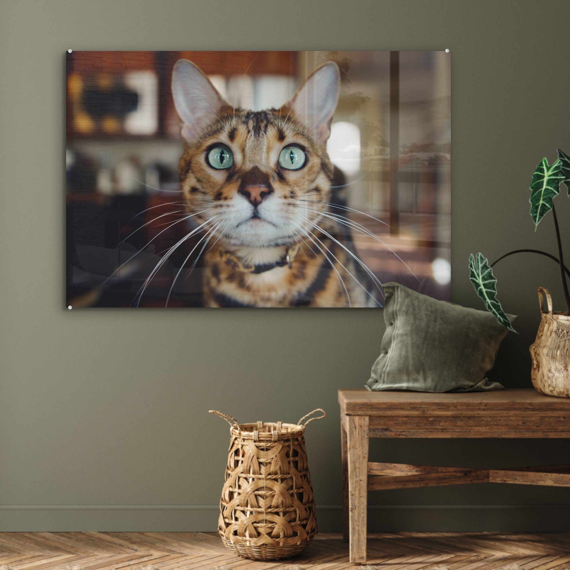 MuchoWow Acrylglasbild Katze - Porträt, St), - Schlafzimmer Schnurrhaare Acrylglasbilder Wohnzimmer (1 &