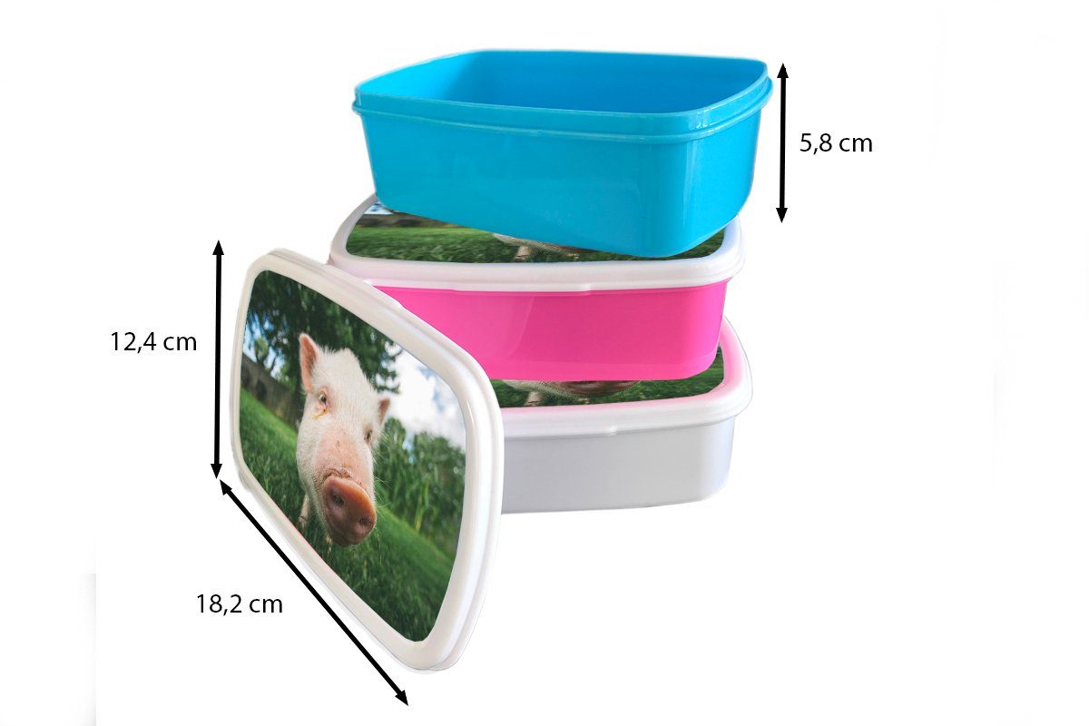 MuchoWow Lunchbox Kunststoff, und Gras, - (2-tlg), Kinder und für Brotdose, Jungs Mädchen Nahaufnahme Erwachsene, weiß für Schwein - Brotbox