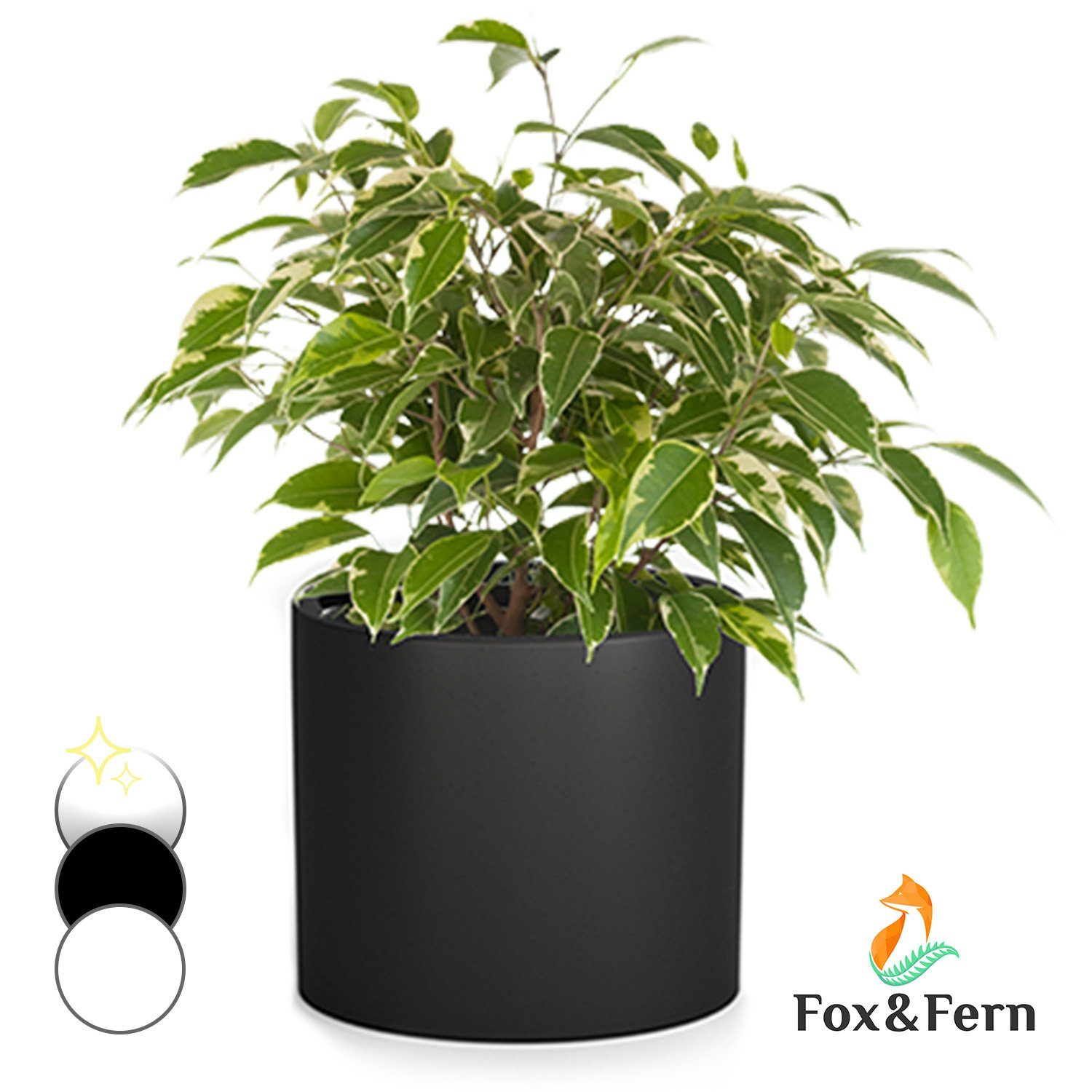 Fox & Fern Hochbeet Gendt. € 34,99