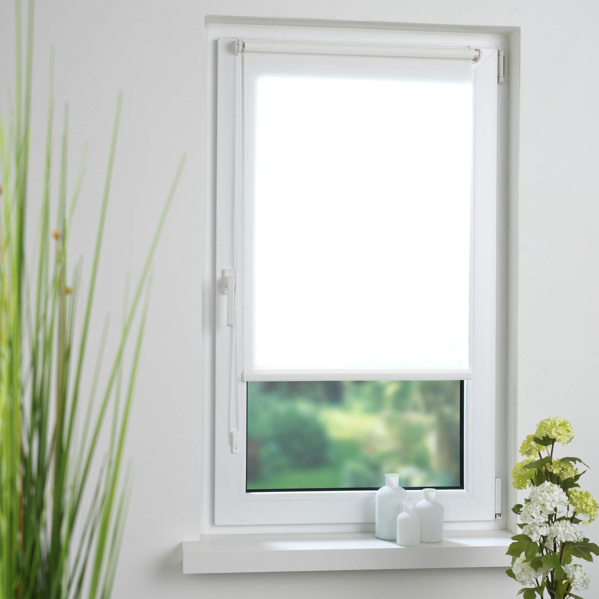 Seitenzugrollo Klemmfix, Liedeco, Lichtschutz, ohne Bohren, günstig online kaufen