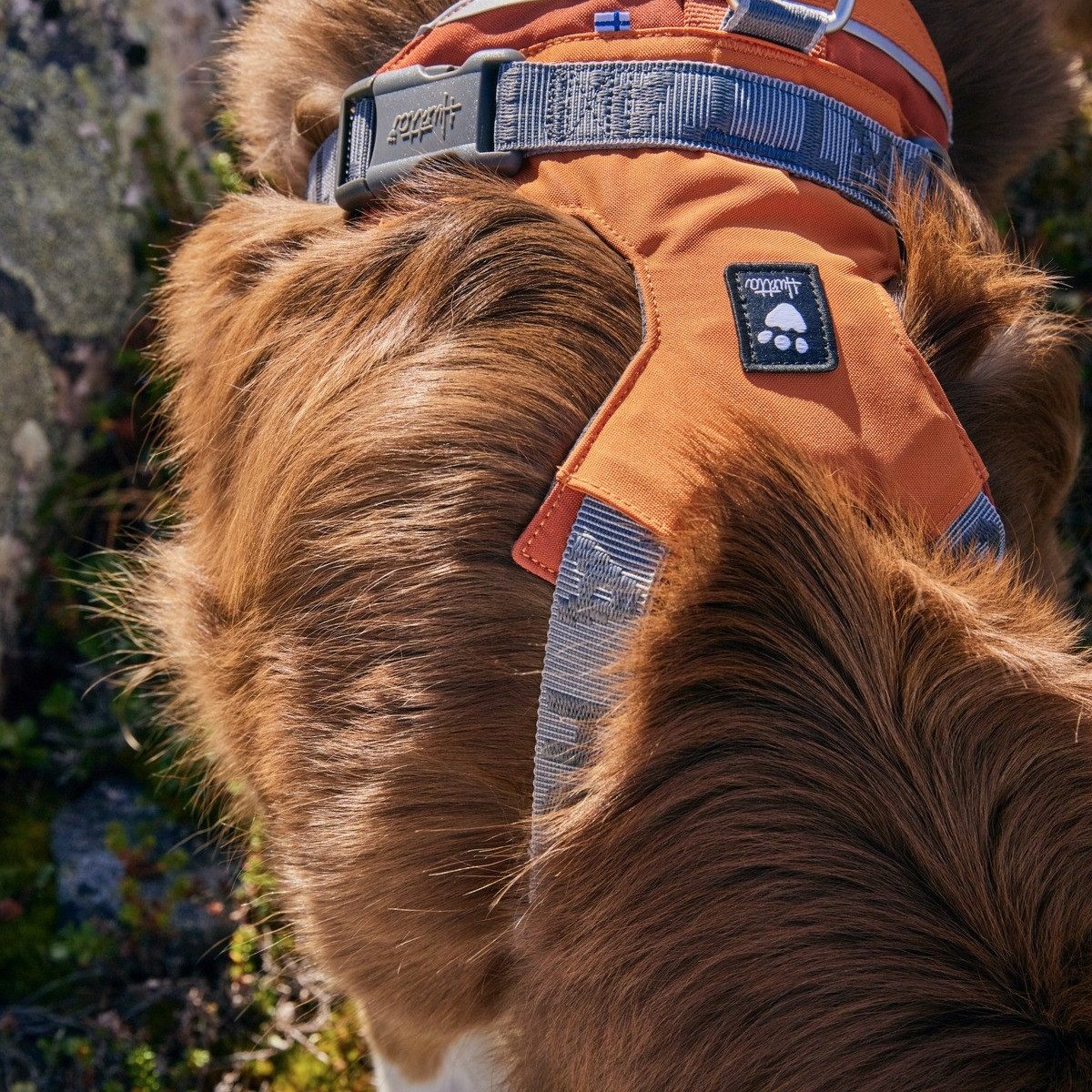 HURTTA Hunde-Geschirr Hundegeschirr Rover Harness cinnamon