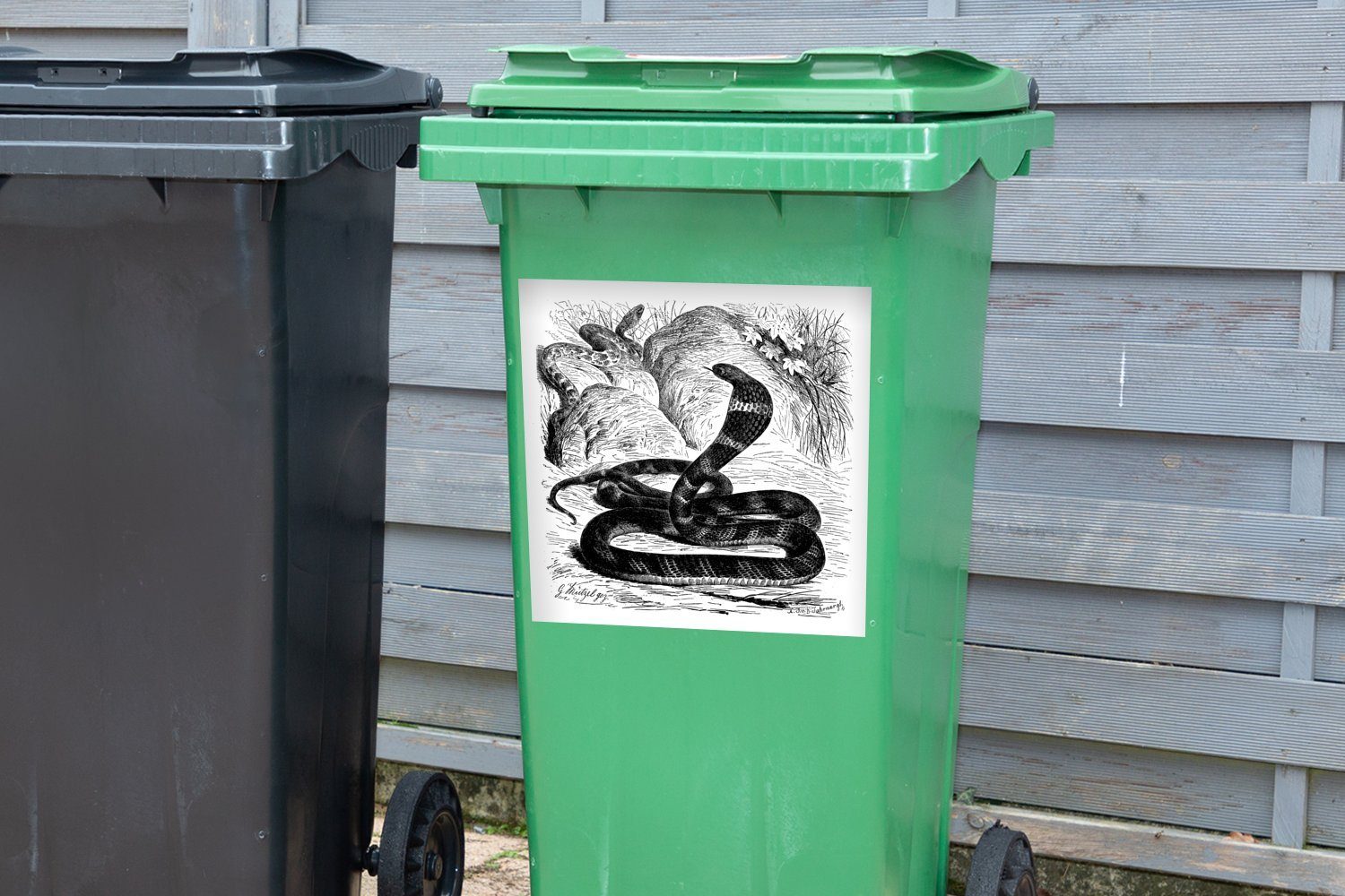 Königskobra Illustration (1 Wandsticker Container, Mülleimer-aufkleber, Abfalbehälter MuchoWow Sticker, Mülltonne, einer Antike St),