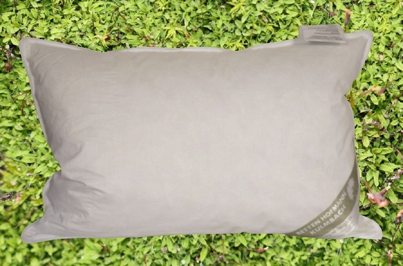 Kopfkissen JAPAN Kissen Kopfkissen 43x63 Betten Hofmann, Bezug: Seitenschläfer Kopfkissen, Daunen strapazierfähi, Rückenschläfer, 100% 30% Federkissen cm Baumwolle