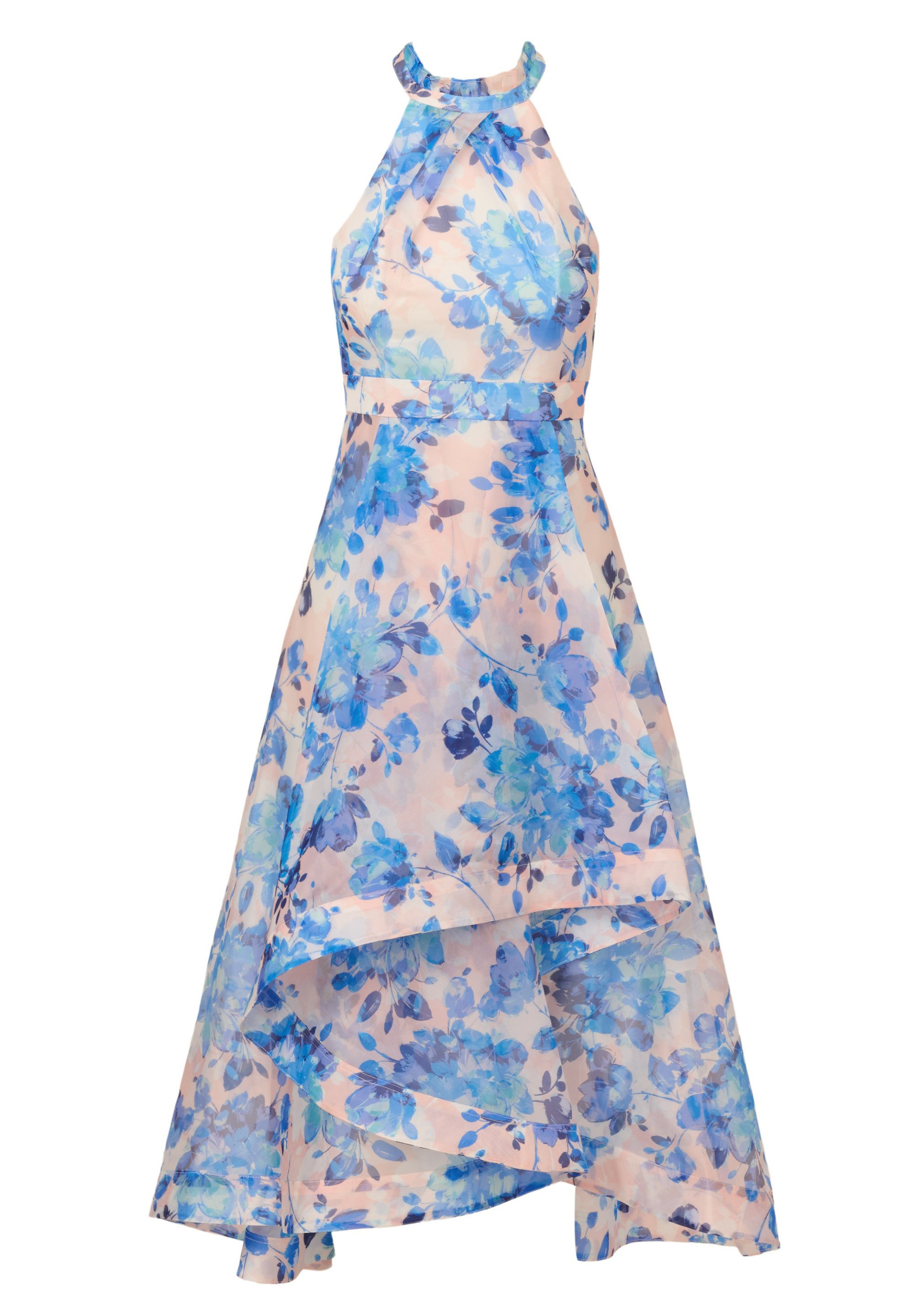 Adrianna Papell Abendkleid Floral Organza Ankle günstig online kaufen