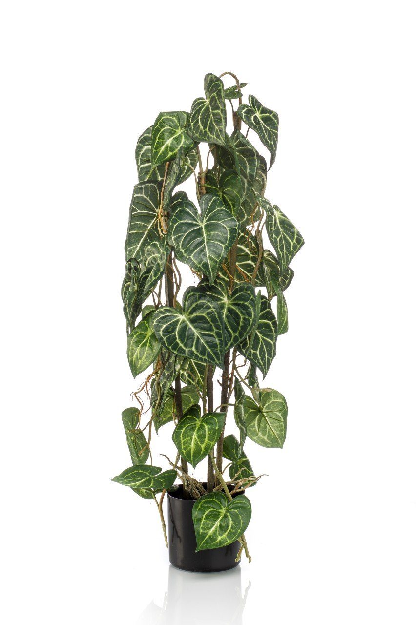 75 Green, Grün B:356cm H:75cm Eternal Kunstpflanze, cm, Emerald Höhe Kunststoff