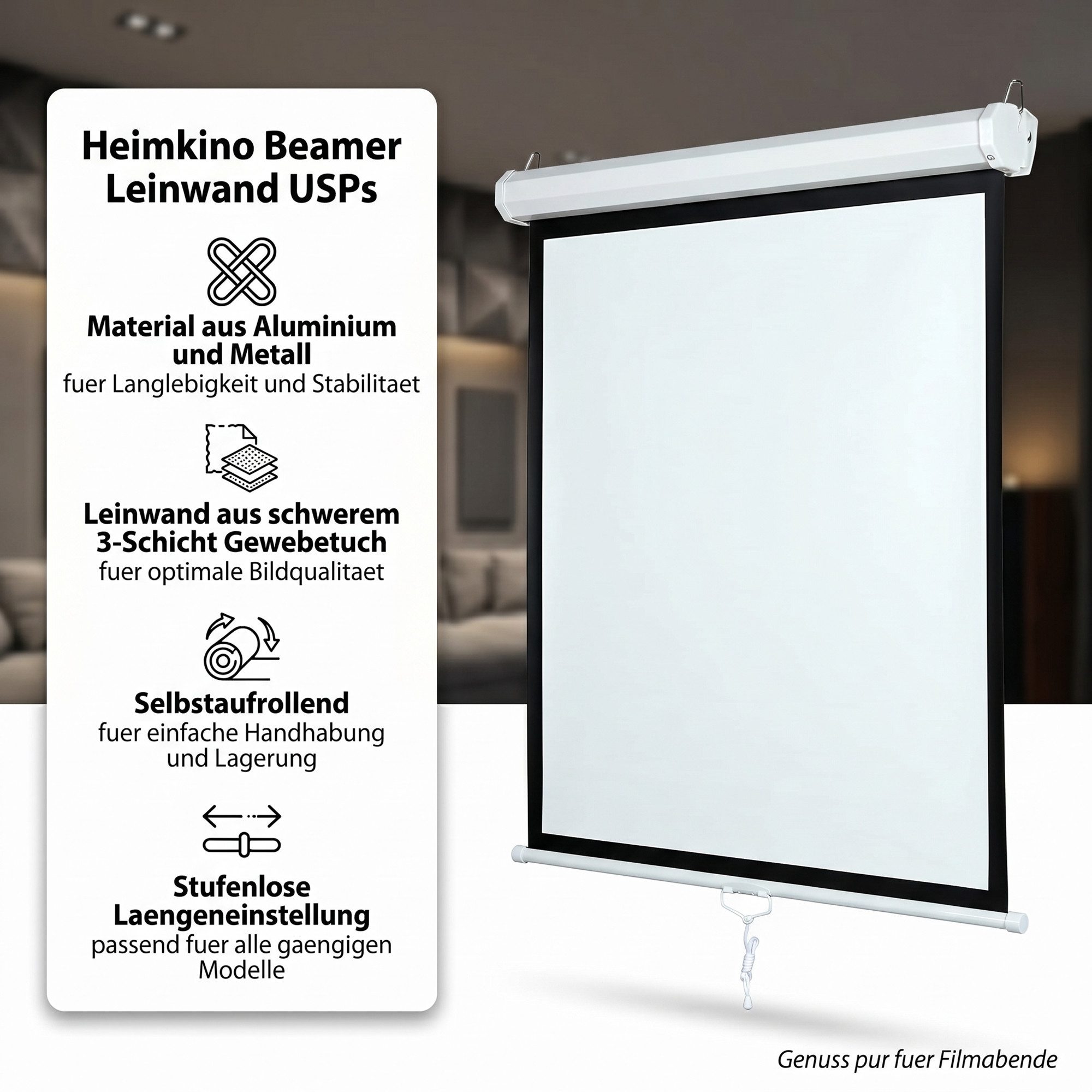 Mucola Leinwand Beamerleinwand Rolloleinwand Heimkino Beamer Projektor Leinwand HDTV, HDTV tauglich, Leinwandgröße: 152 cm x 152 cm