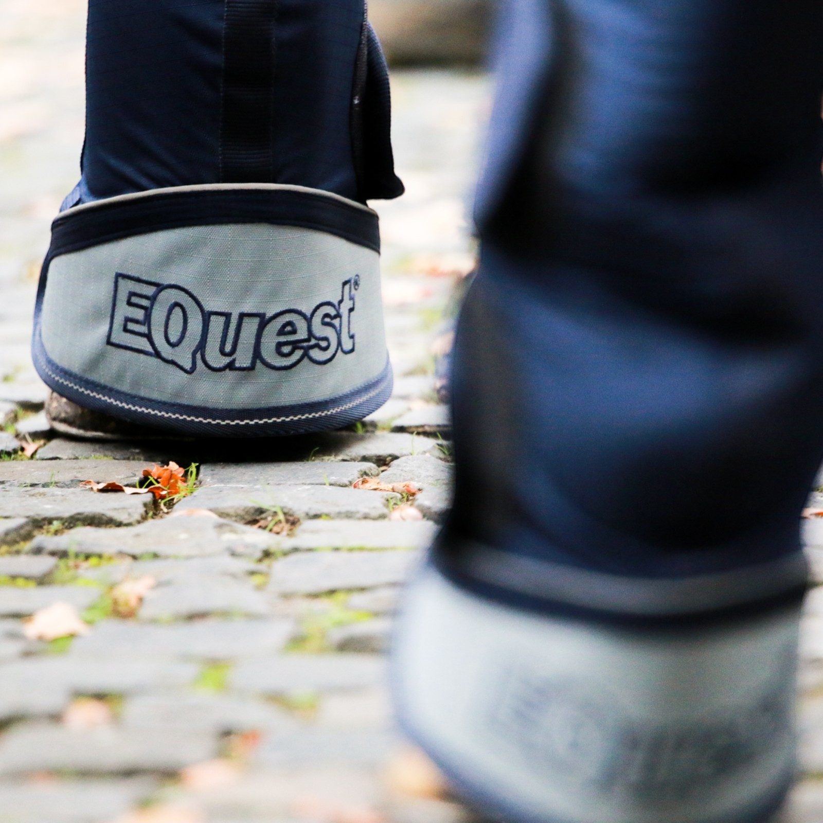 EQuest Transportgamaschen Transportgamasche für Pferde, 4er Set, Navy S Pony