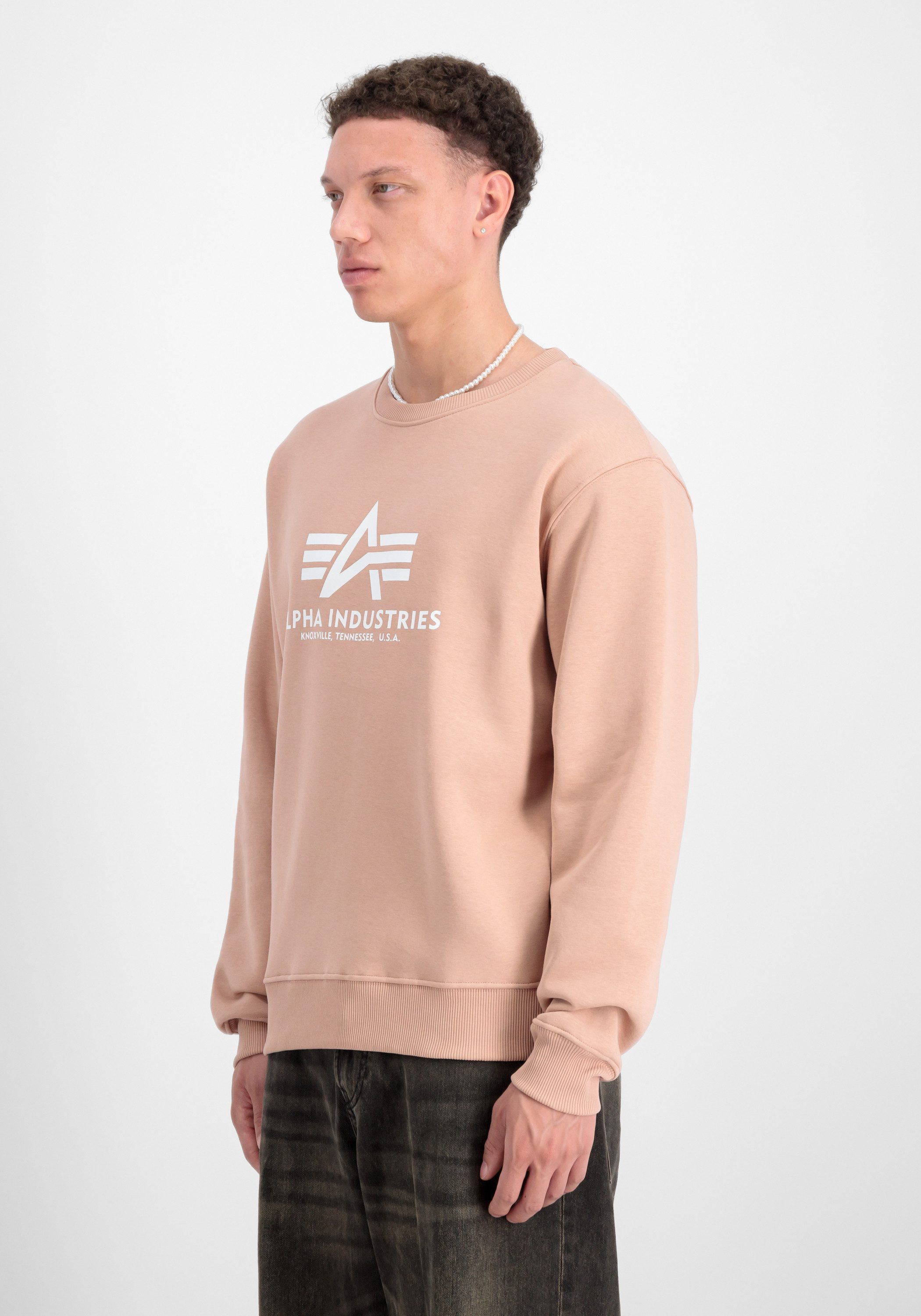 Sweater Basic Sweatshirt BL