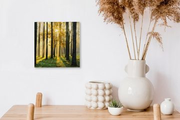 OneMillionCanvasses® Leinwandbild Wald - Sonne - Bäume - Gras - Landschaft - Natur, (1 St), Leinwand Bilder für Wohnzimmer Schlafzimmer