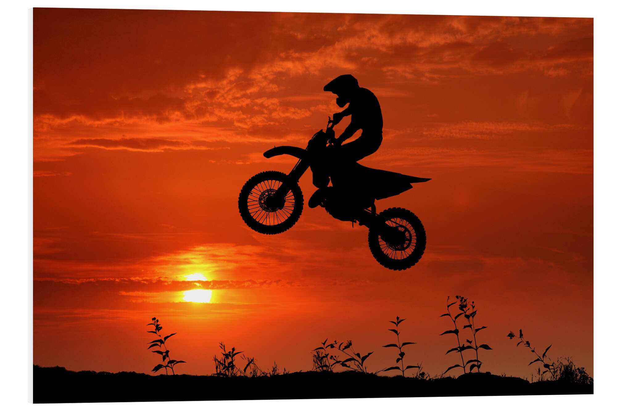 Forex-Bild Filtergrafia