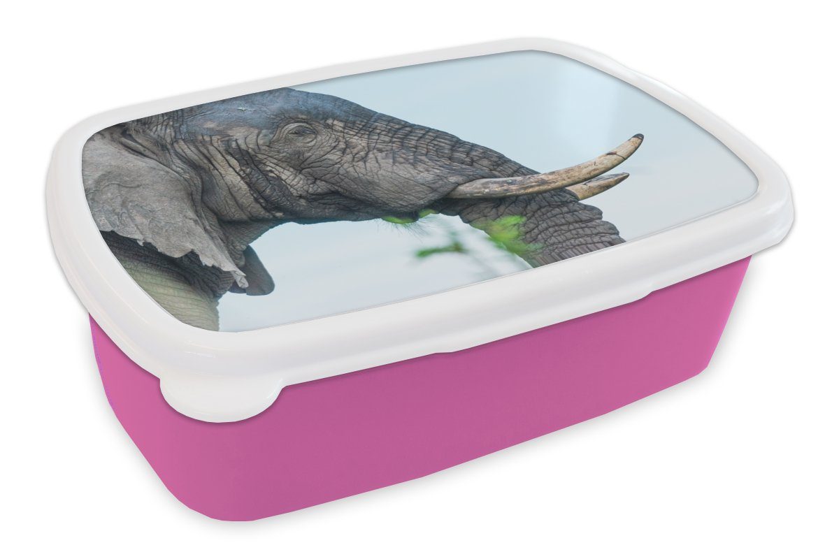 MuchoWow Lunchbox Elefant - Tiere - Grau - Natur, Kunststoff, (2-tlg), Brotbox für Erwachsene, Brotdose Kinder, Snackbox, Mädchen, Kunststoff rosa