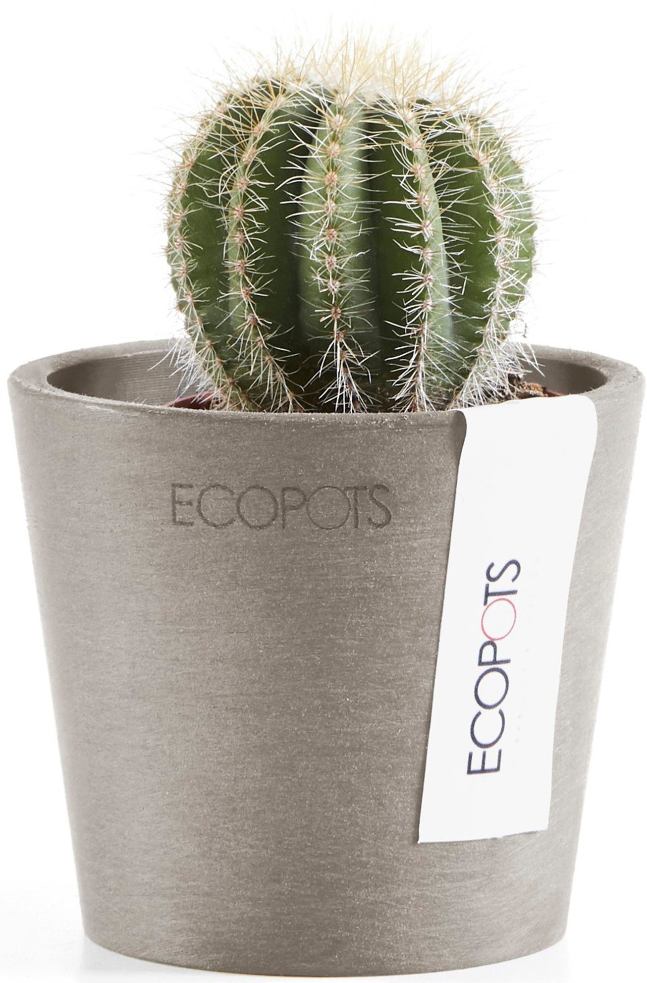 ECOPOTS Blumentopf Amsterdam Mini 8 Taupe, für den Innenbereich