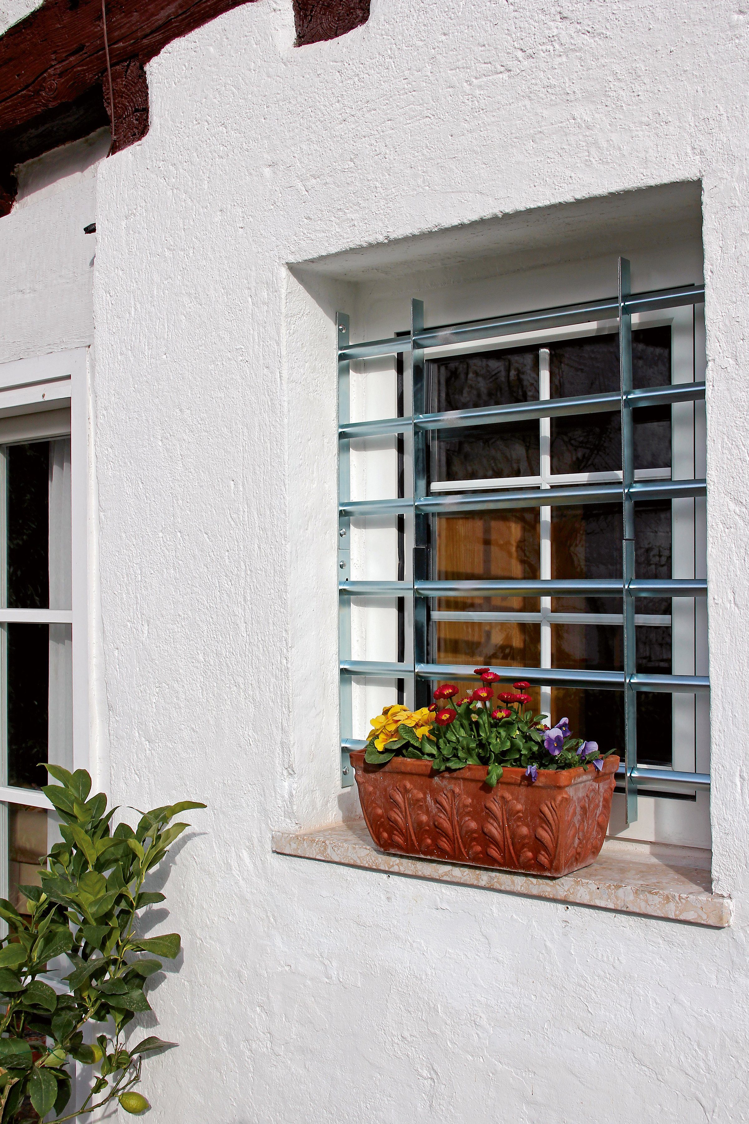Alberts Fensterschutzgitter Secorino BxH: Basic, 50-65x30 cm