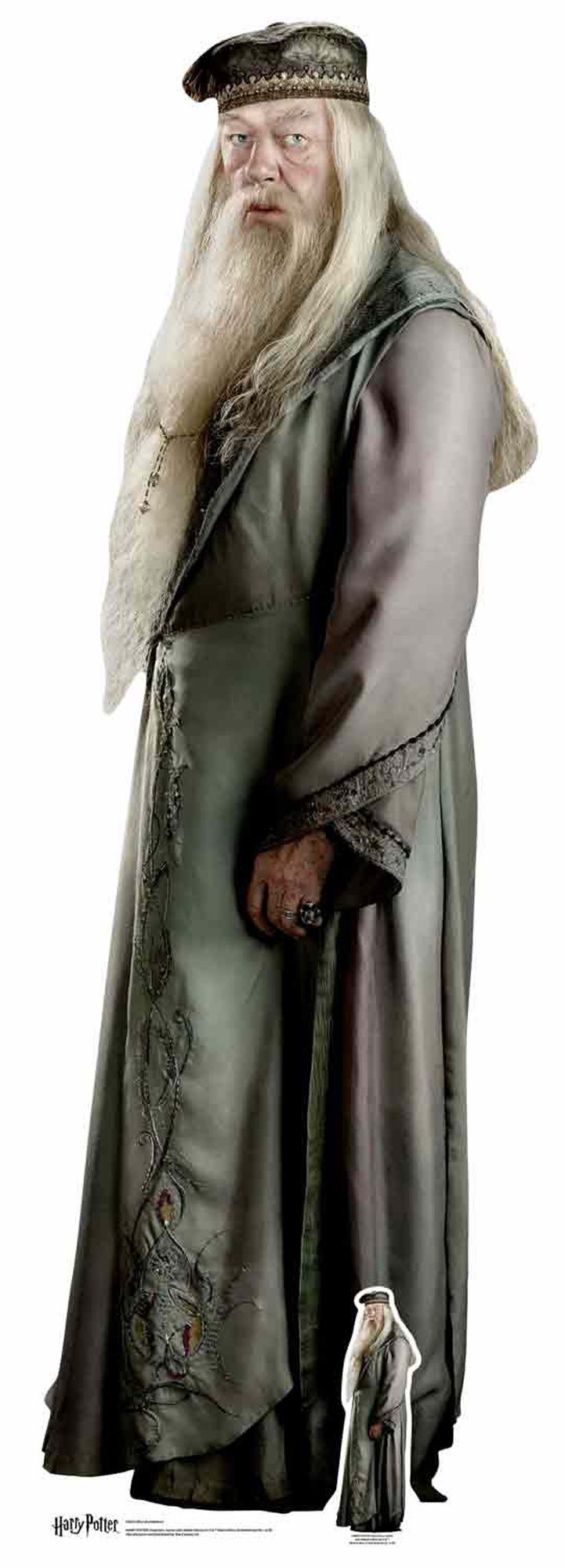 Dekofigur Harry Potter Pappaufsteller Albus Dumbledore Pappaufsteller