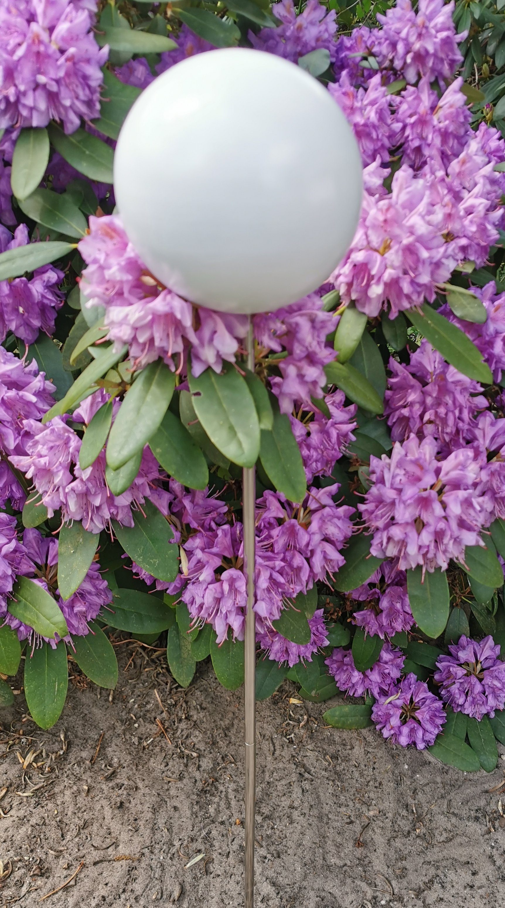 Jürgen Bocker GartenAmbiente Gartenstecker Rosenkugel Edelstahl weiß