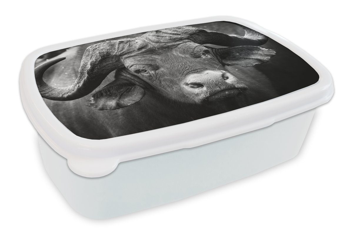 MuchoWow Lunchbox Tierprofil Kaffernbüffel in Schwarz und Weiß, Kunststoff, (2-tlg), Brotbox für Kinder und Erwachsene, Brotdose, für Jungs und Mädchen