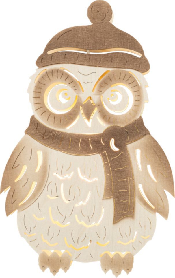 SAICO Original LED Fensterbild Winter-Eule, inkl. günstig online kaufen