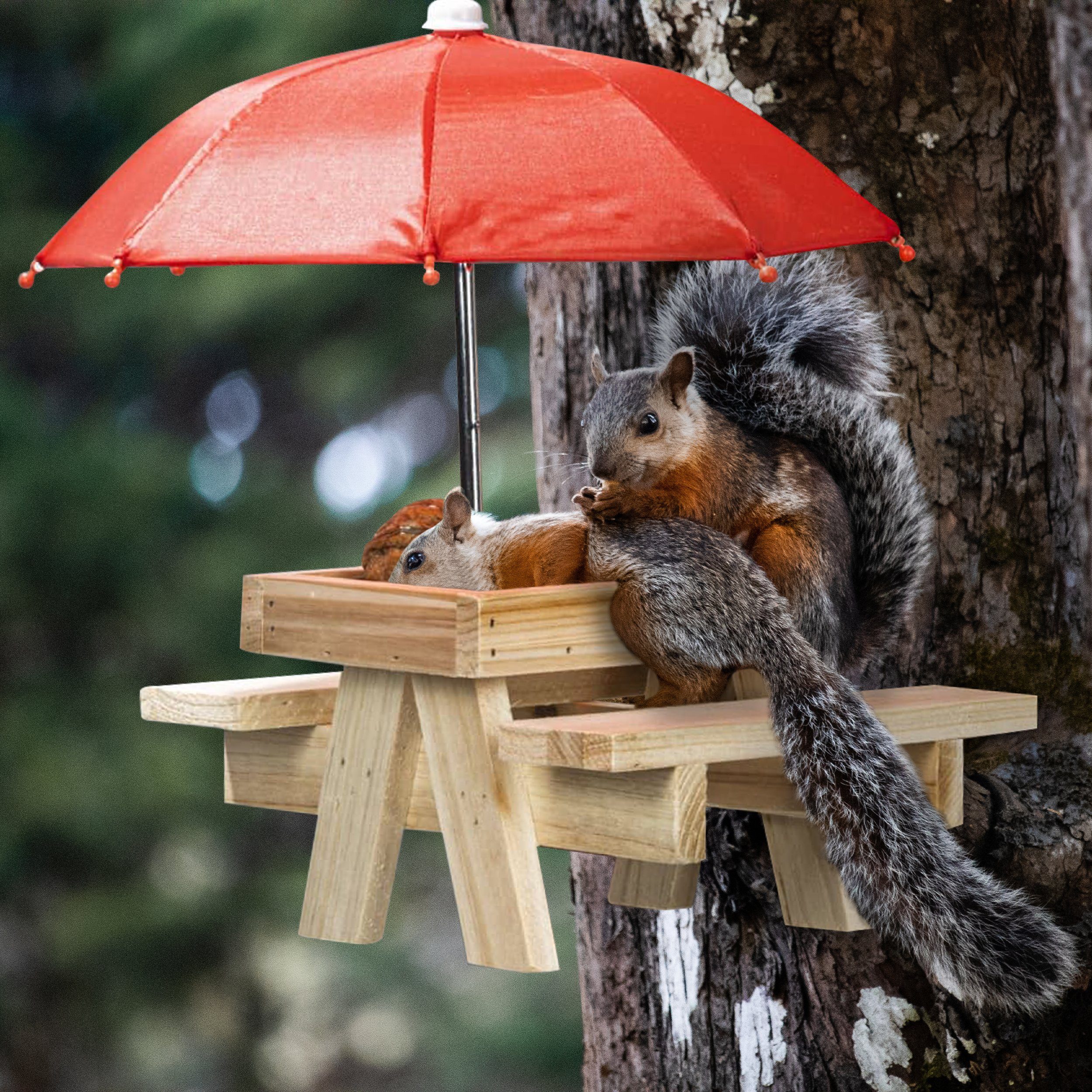 Ergänzung Eichhörnchenhaus Futterstelle Eichhörnchen für Balkon und jeden Eichhörnchenkobel Garten Eichhörnchen als wetterfest, Oramics Futterbox Futterstation