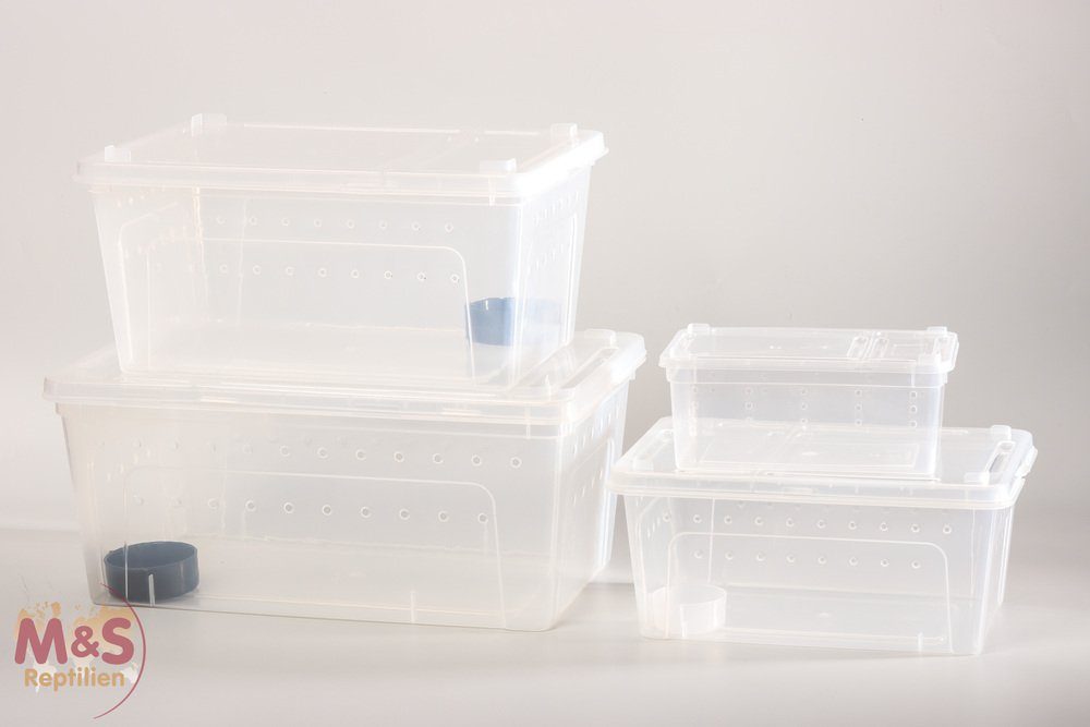 M&S Reptilien Terrarium ReptiZoo Kunststoffterrarium inkl. kleiner Wasserschale schwarz - extr