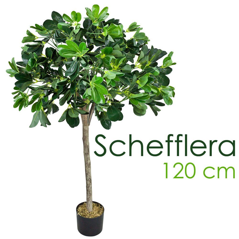 Kunstpflanze Schefflera Arboricola Aralie Kunstbaum Künstliche Pflanze Echtholz 1,2m Decovego, Decovego