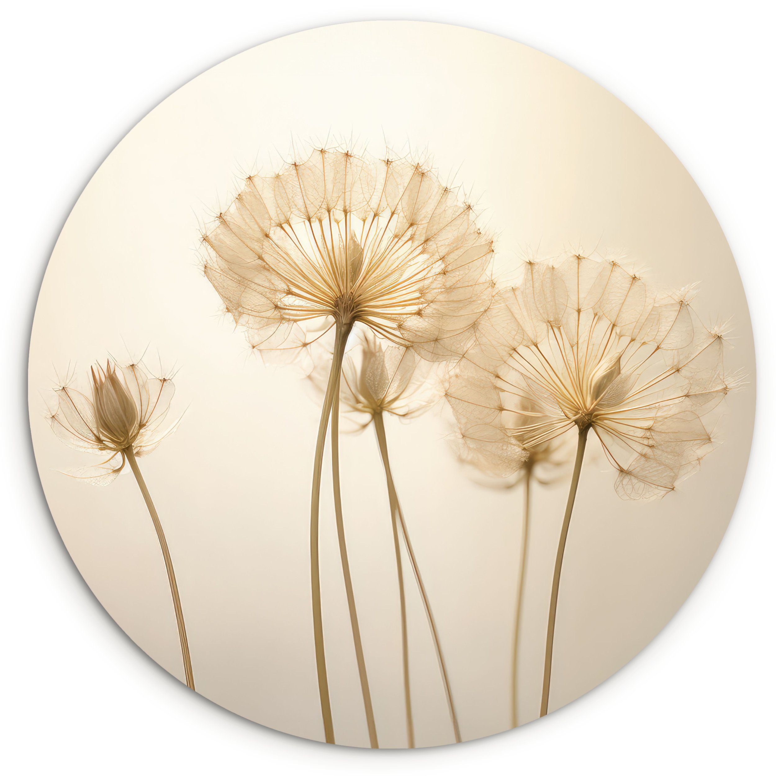 MuchoWow Gemälde Sonnenlicht - Löwenzahn - Botanisch - Blumen, Fotodruck (1 St), Kreis Wanddekoration, Rundes Wandbild, 30x30 cm