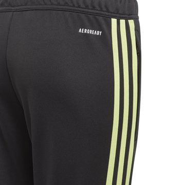 adidas Performance Sporthose TIRO23 CBTRPNTY