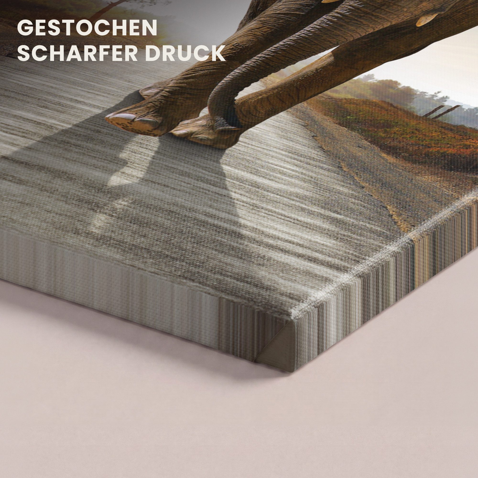 OneMillionCanvasses® Leinwandbild Elefant - Straße - Tiere - Sonnenuntergang - Landschaft, Fotodruck (1 St), Leinwand Bilder Klein, Wand Dekoration Aesthetic 30 – Bild 3 von 5