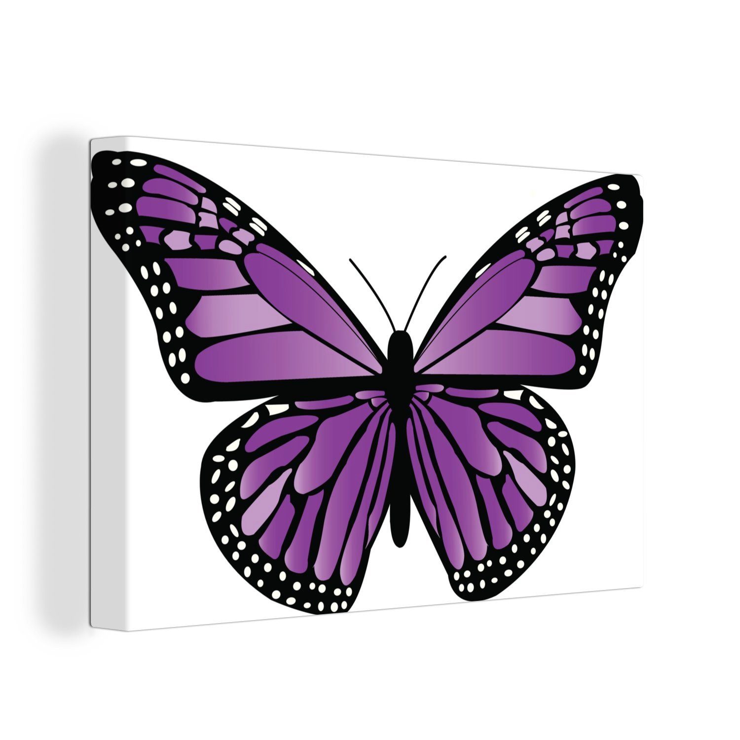 OneMillionCanvasses® Leinwandbild Eine Illustration eines lila Schmetterlings auf weißem Hintergrund, (1 St), Wandbild Leinwandbilder, Aufhängefertig, Wanddeko, 30x20 cm