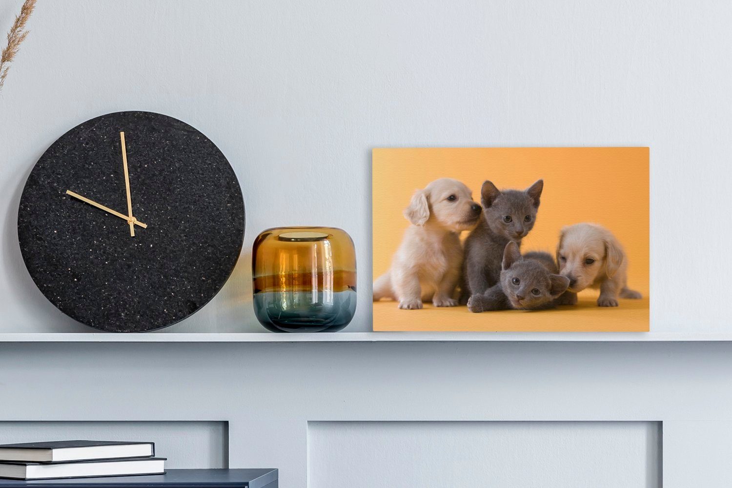 OneMillionCanvasses® Leinwandbild Welpe - Kätzchen - günstig online kaufen