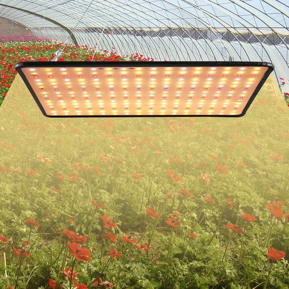 Qelus Pflanzenlampe 256 LEDs Pflanzenleuchte für Zimmerpflanzen Gemüse und Blumen, Pflanzenlampe LED, LED Pflanzen Wachsen licht Sonnenlicht