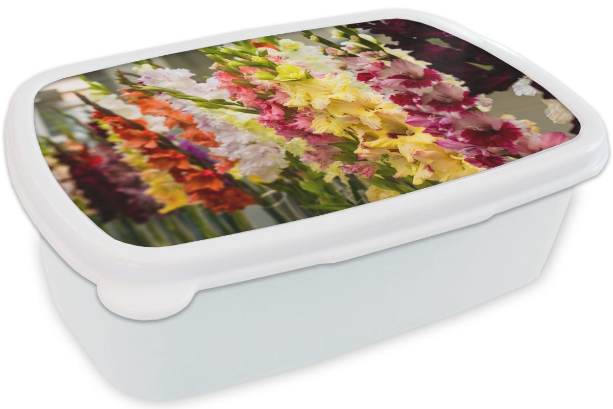 - MuchoWow Blumen - Farben, Kinder für Brotbox und Brotdose, und weiß für Gladiolen (2-tlg), Lunchbox Kunststoff, Mädchen Jungs Erwachsene,