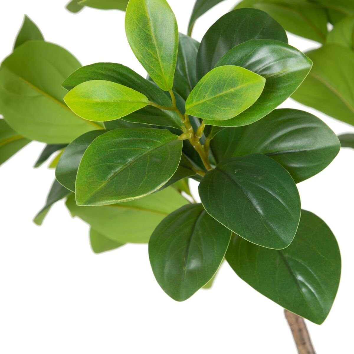 145 cm 19 Künstliche Künstliche Zimmerpflanze Höhe Pflanze, cm Peperomia grün Bigbuy, PVC Dekorationspflanze