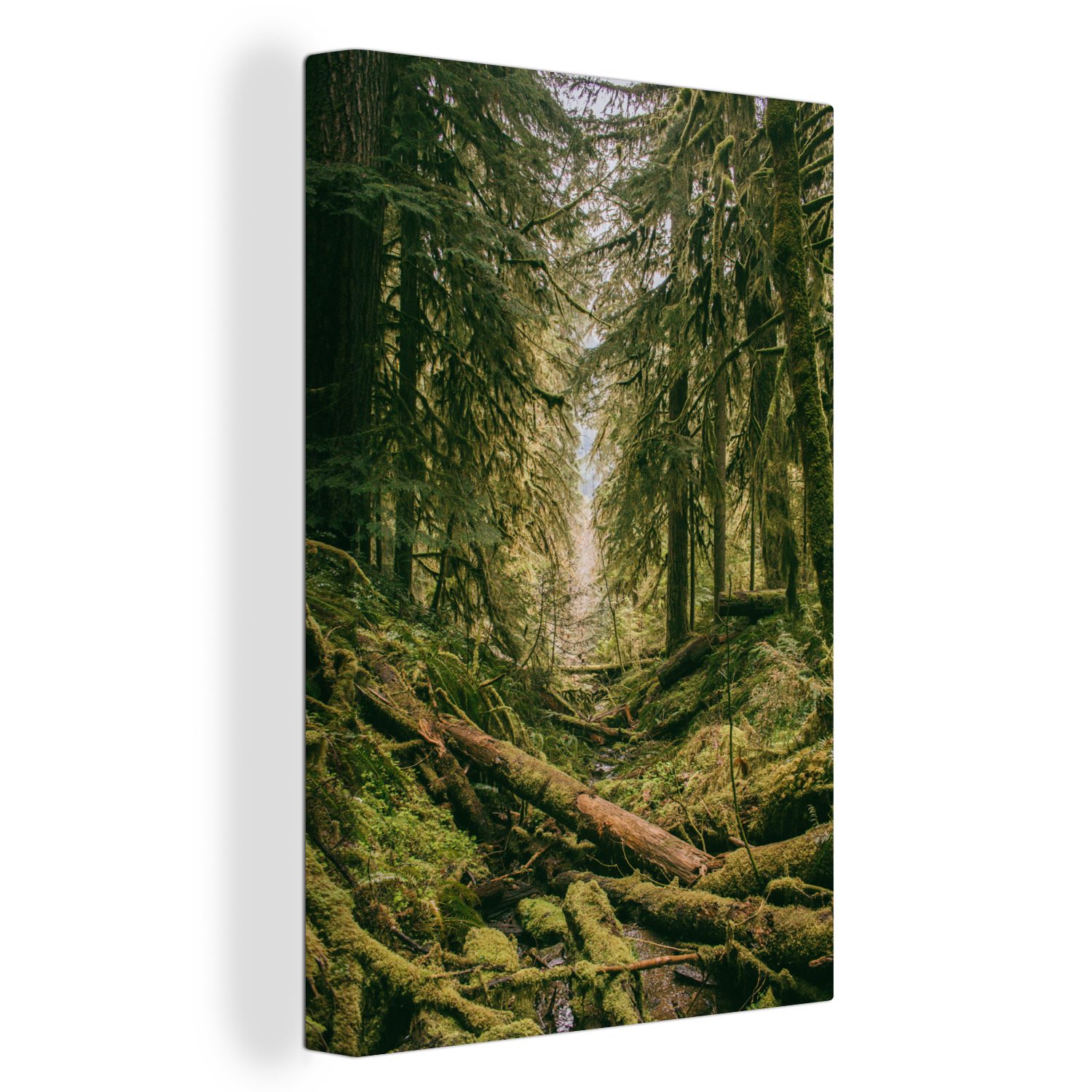 - fertig 20x30 Wald Zackenaufhänger, Leinwandbild - Leinwandbild Grün, St), inkl. bespannt Bäume cm Gemälde, (1 OneMillionCanvasses®