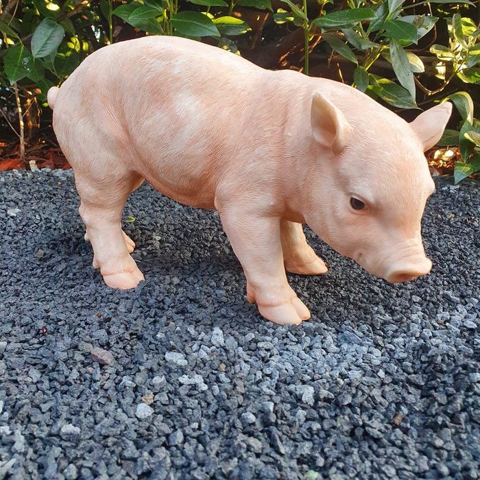 Aspinaworld Gartenfigur Neugierige Schweine Figur 20 cm wetterfest