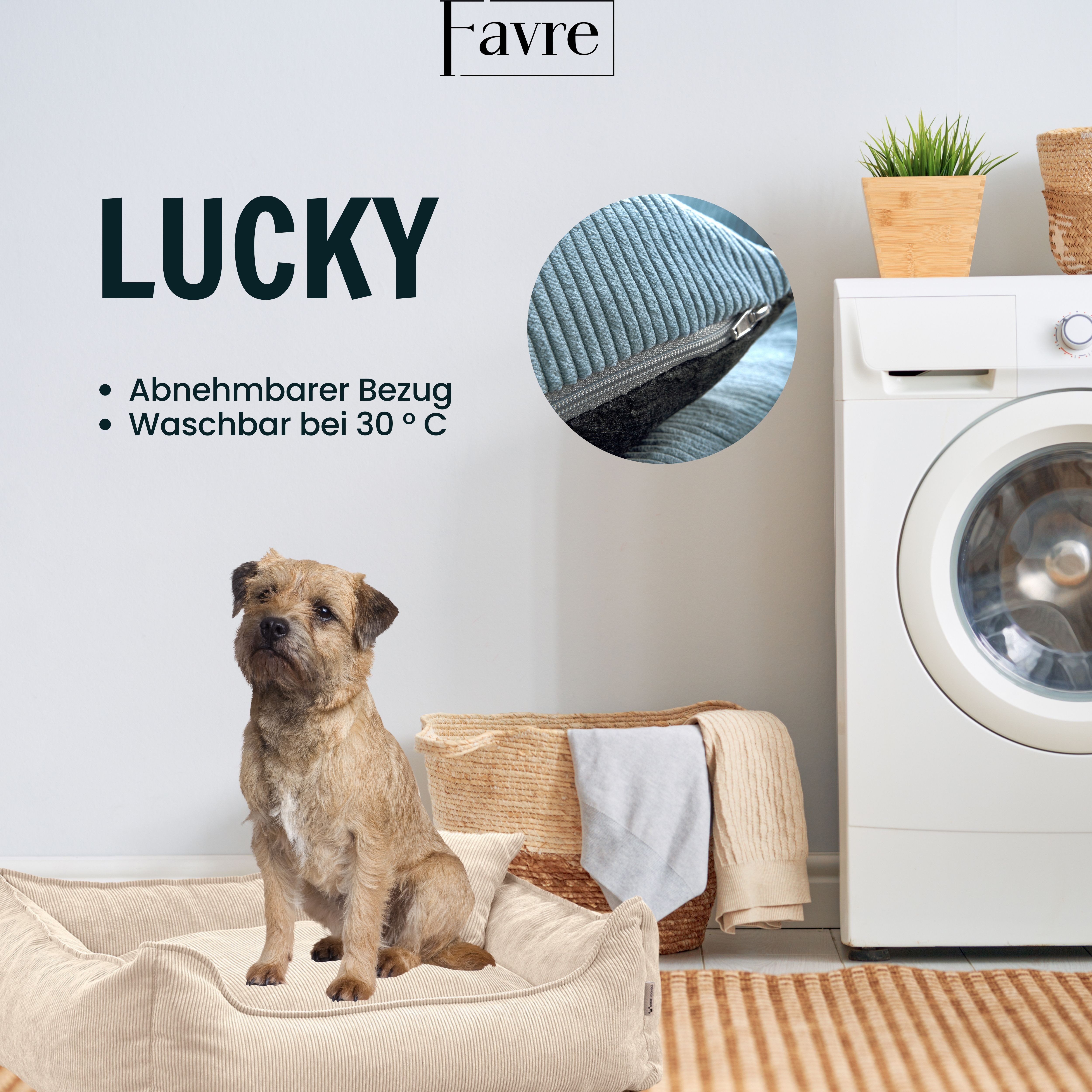 FAVRE Tierbett Hundebett Lucky mit abnehmbarem, waschbarem Cord-Bezug, 100% Polyester, verschiedene Größen, Gratis Kopfkissen – Bild 4 von 5