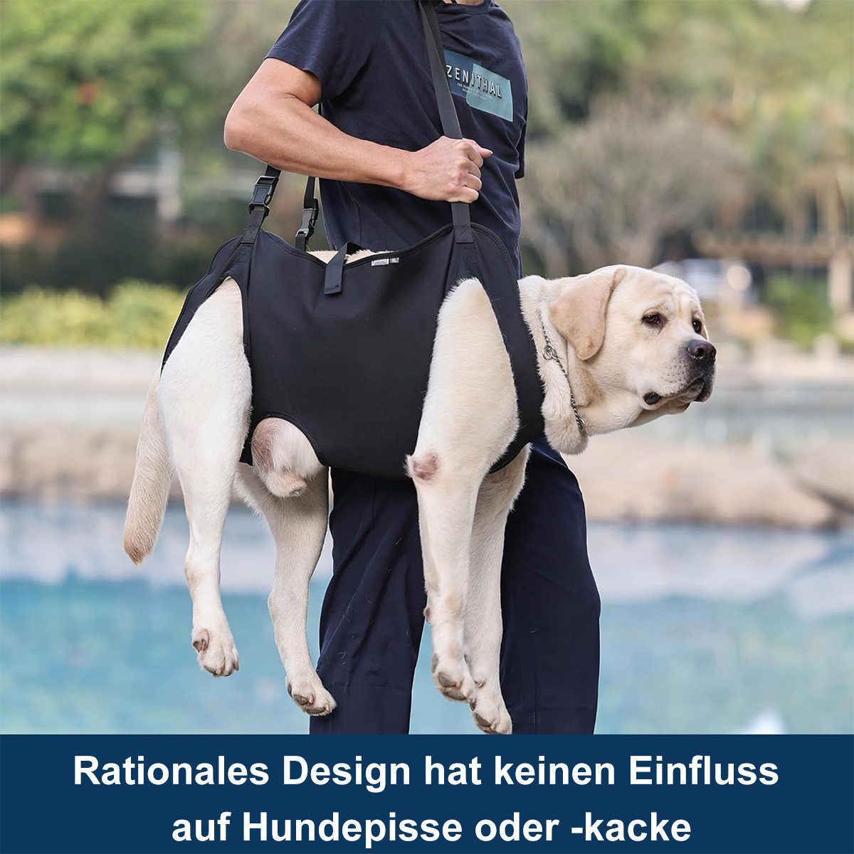 Welikera Hunde-Geschirr Tragehilfe Hund,Treppenhilfe für Hunde, für ältere Hunde & nach OP,zur Unterstützung bei Gelenkproblemen