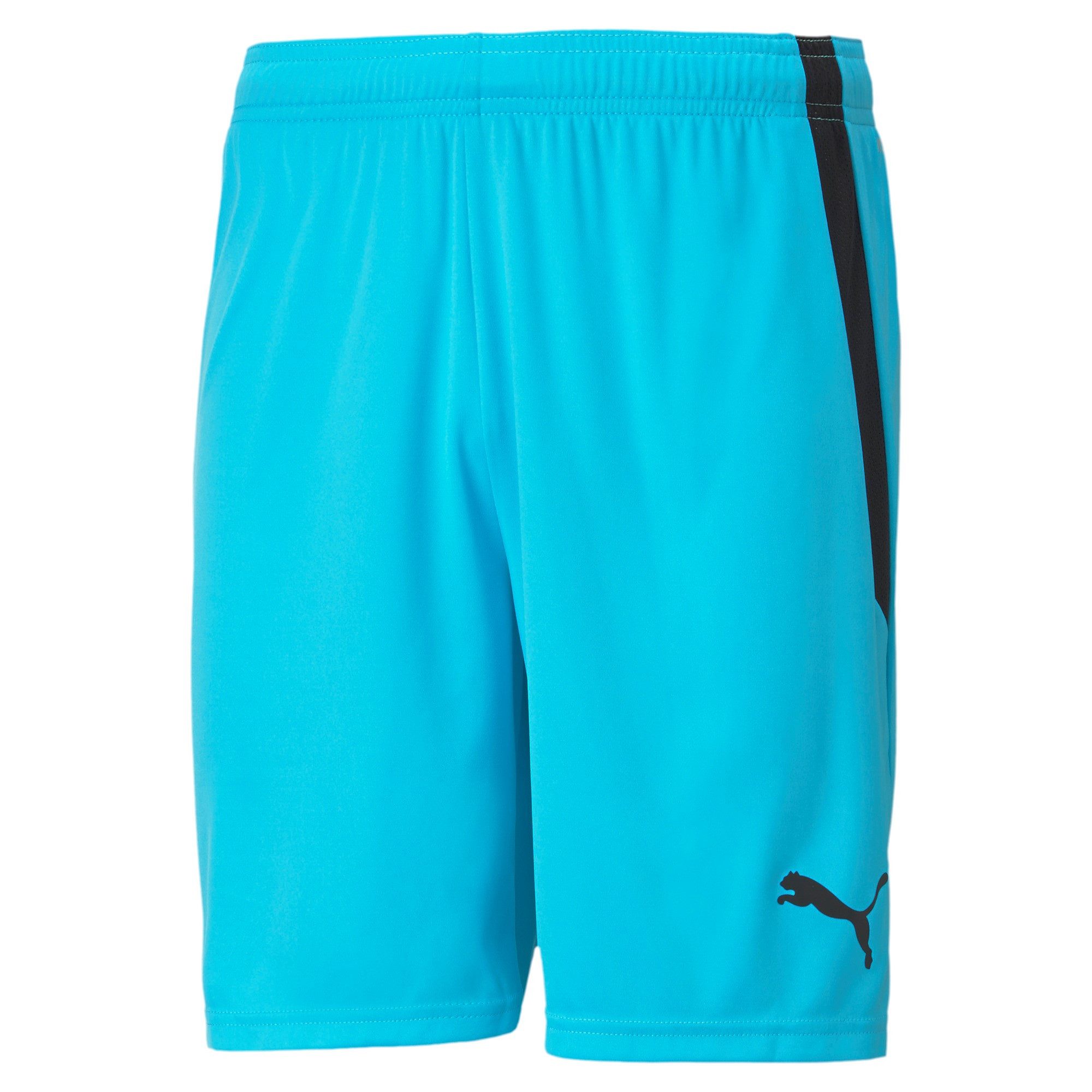 PUMA Trainingsshorts Puma Herren Shorts teamLIGA günstig online kaufen
