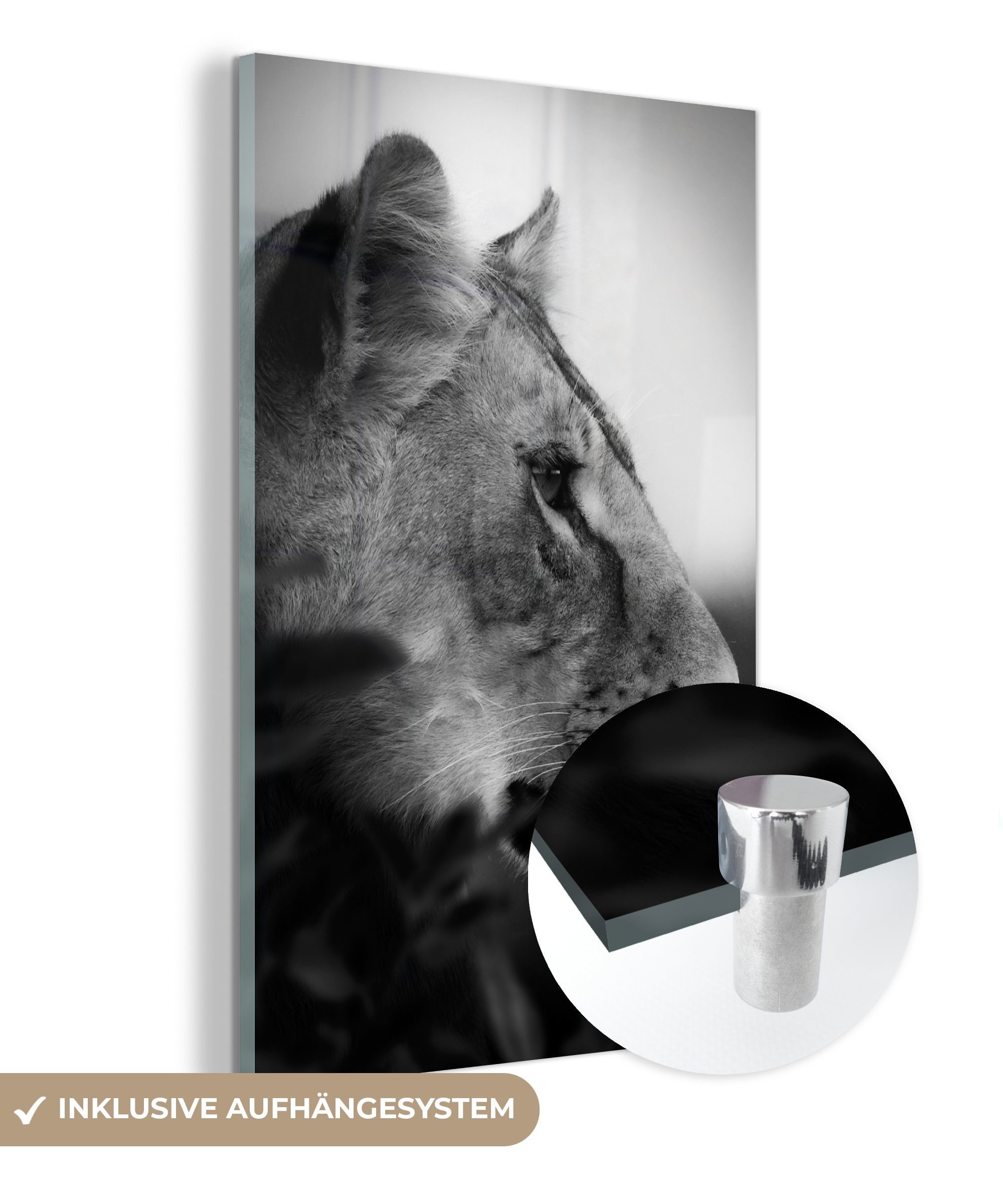 MuchoWow Acrylglasbild Porträt eines Tigers im Dschungel - schwarz und weiß, (1 St), Glasbilder - Bilder auf Glas Wandbild - Foto auf Glas - Wanddekoration bunt | Bilder