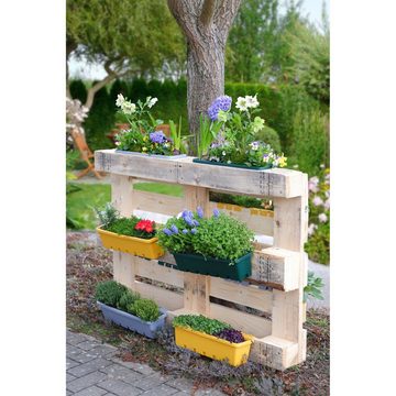 GREENLIFE® Blumenkasten Blumenkasten / Kräuterbox 5 Stück (5er Set), integrierter Zwischenboden