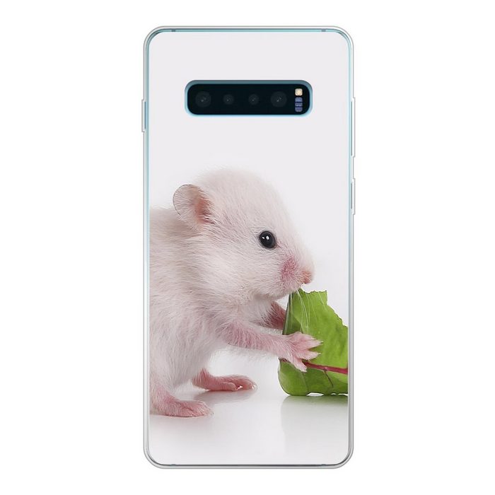 MuchoWow Handyhülle Fressendes Hamsterbaby Phone Case Handyhülle Samsung Galaxy S10 Lite Silikon Schutzhülle