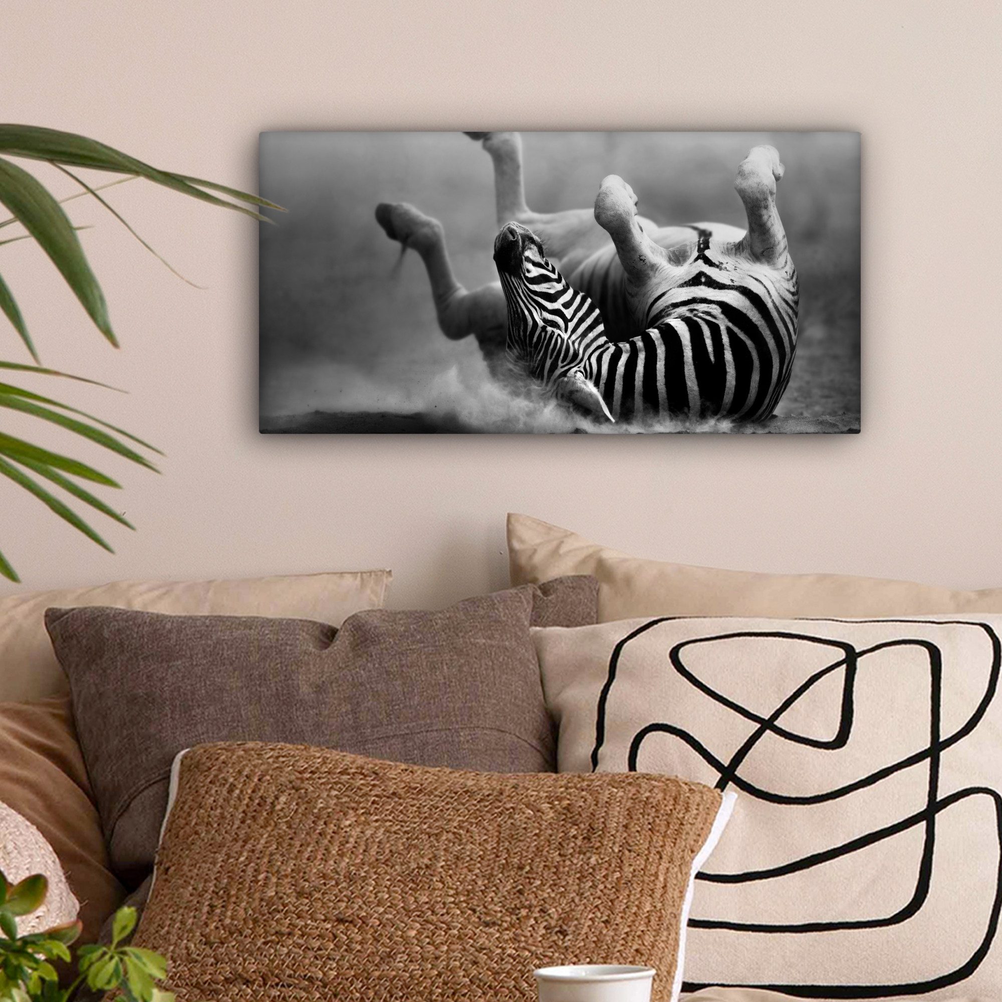 OneMillionCanvasses® Leinwandbild Panorama Zebra - Tiere günstig online kaufen
