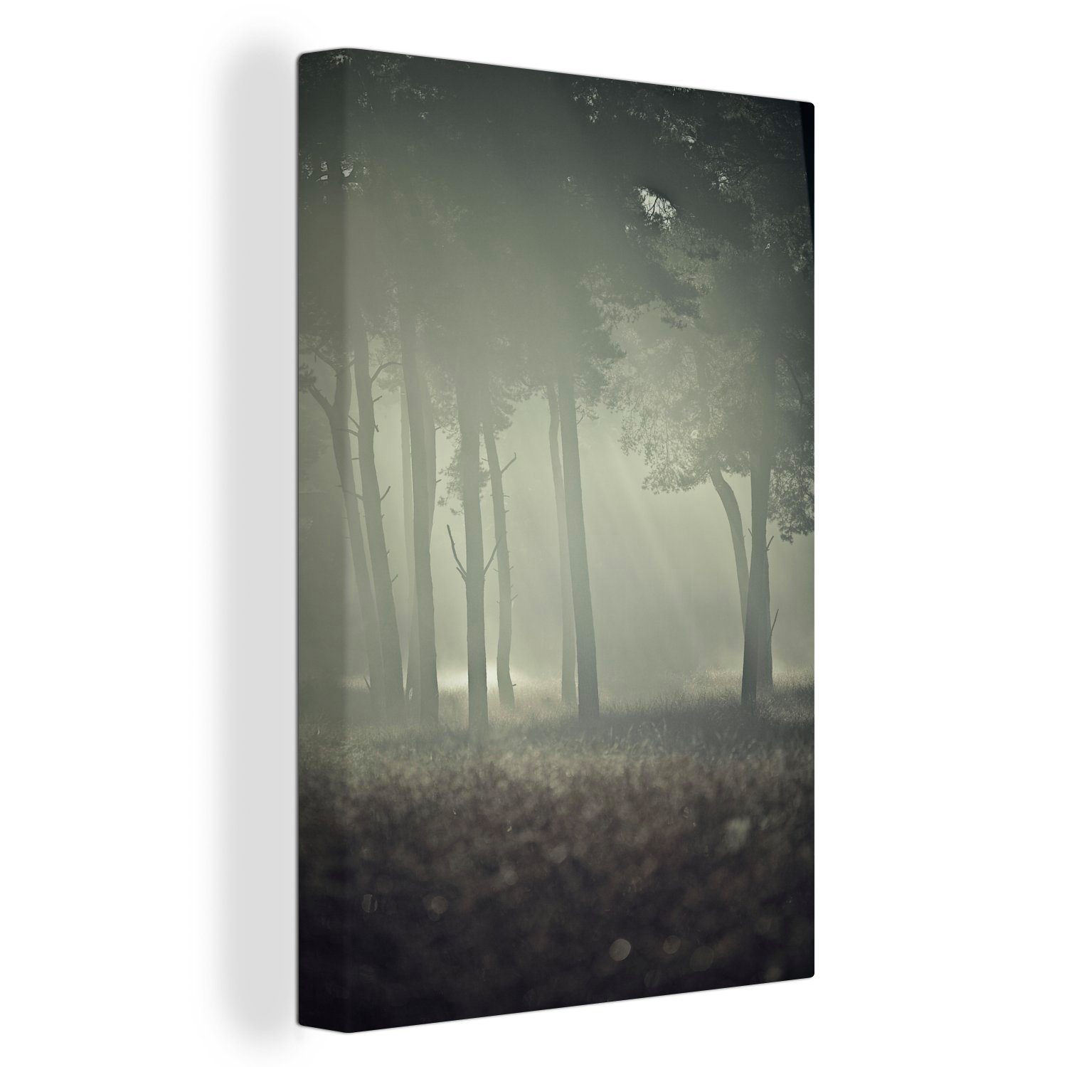 OneMillionCanvasses® Leinwandbild Nebel zwischen den Bäumen im Nationalpark De Hoge Veluwe in Gelderland, (1 St), Leinwandbild fertig bespannt inkl. Zackenaufhänger, Gemälde, 20x30 cm