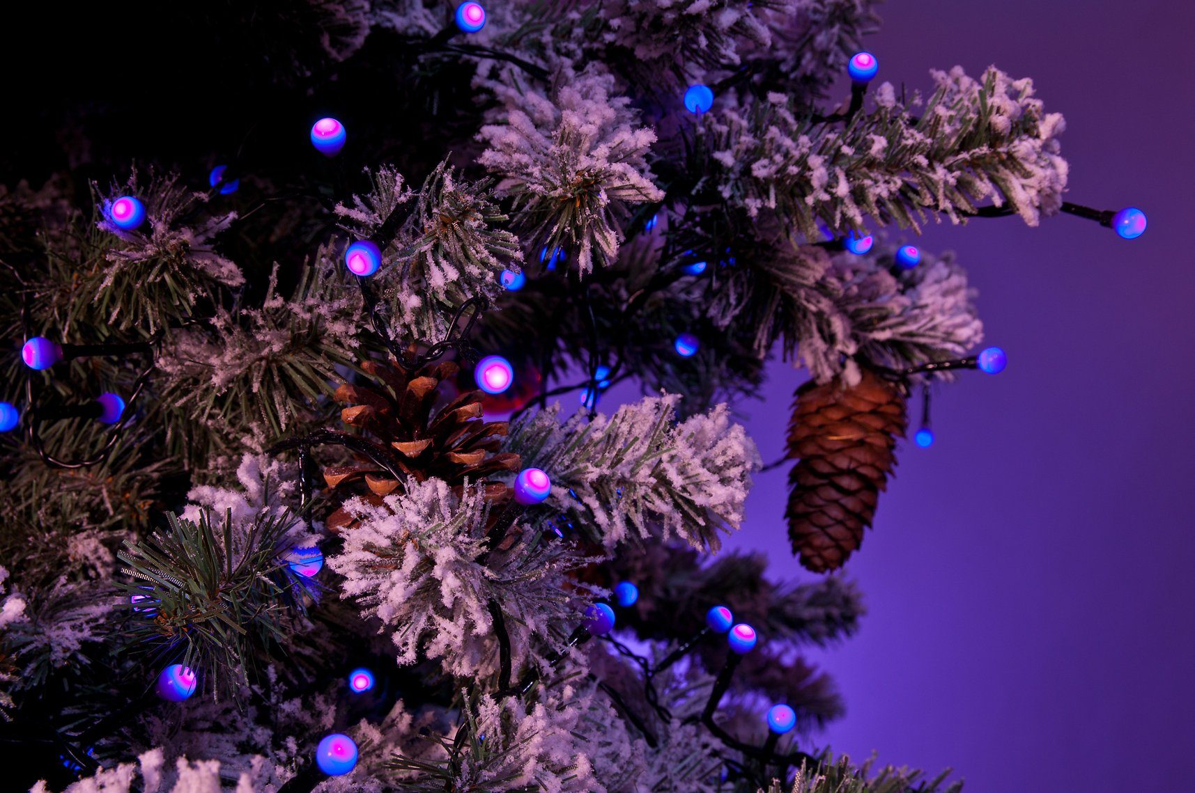KONSTSMIDE LED-Lichterkette Weihnachtsdeko purpurfarbene Globelichterkette, 80-flammig, LED Dioden 80 Dioden, runde aussen