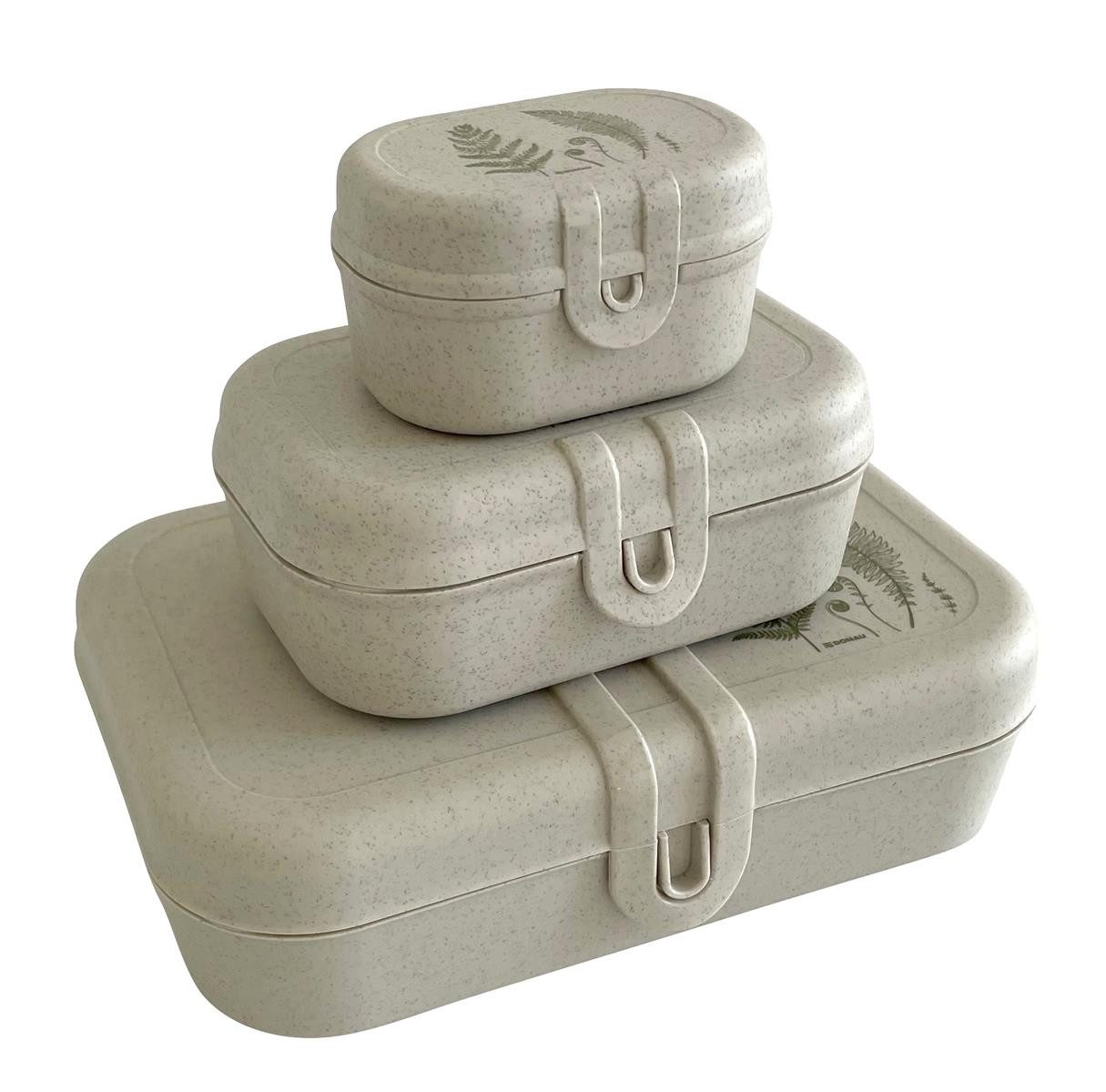 DONAU Lunchbox DONAU 2110000-70 Frühstücksbox-Set 3ltg. ÖKO Motiv Farn sand