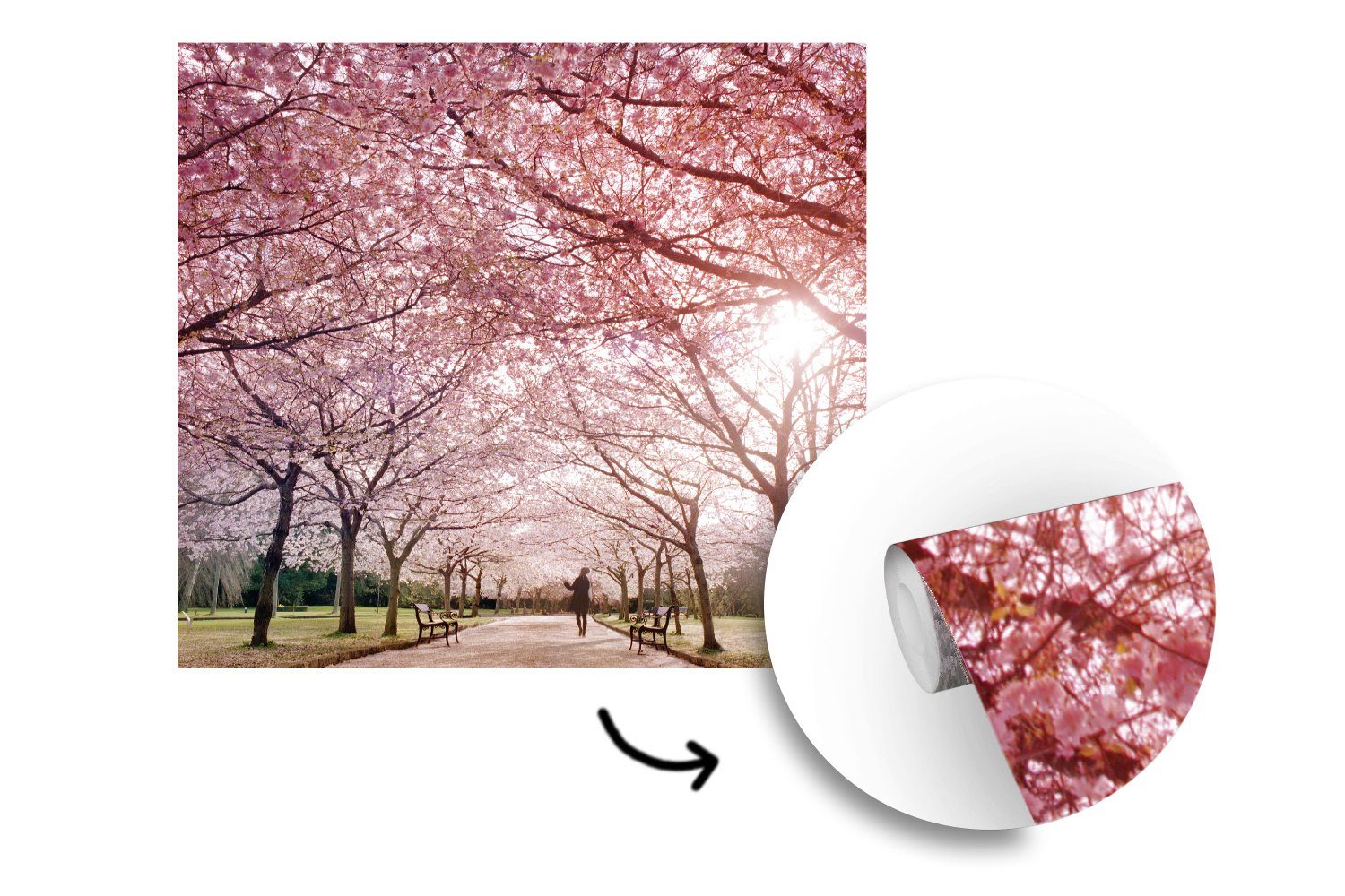 Fototapete Montagefertig klaren Vinyl MuchoWow St), an bedruckt, einem Wandtapete Tapete Sakura-Bäume Matt, für Tag, (5 Wohnzimmer,