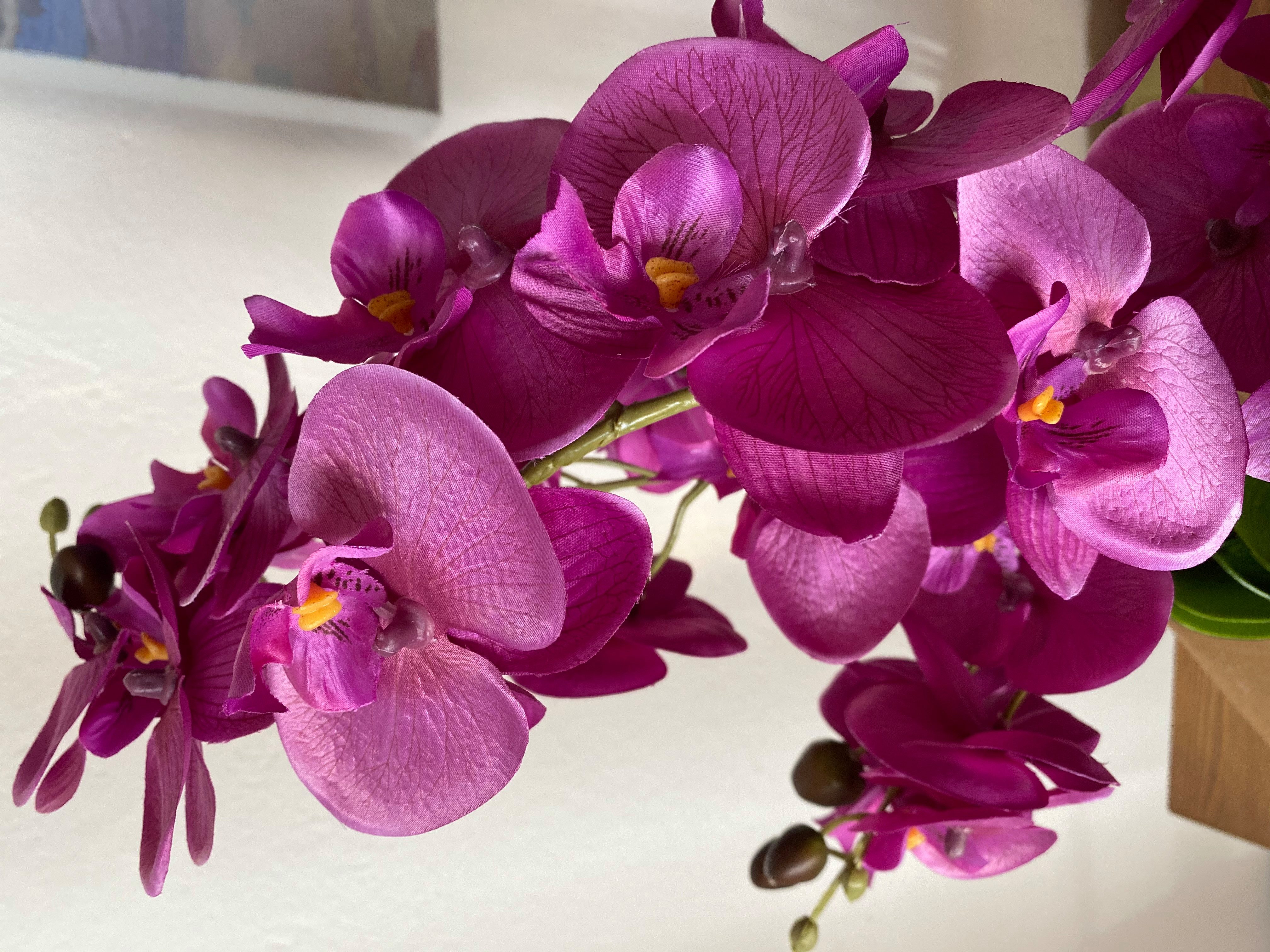 Kunstorchidee Kunstpflanze Orchidee Orchidee, Creativ green, Höhe 55.00 cm, im Keramiktopf