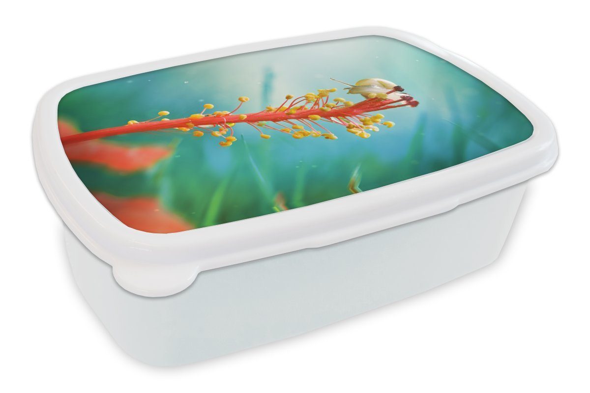 MuchoWow Lunchbox Schnecke - Pflanze - Baum, Kunststoff, (2-tlg), Brotbox für Kinder und Erwachsene, Brotdose, für Jungs und Mädchen weiß