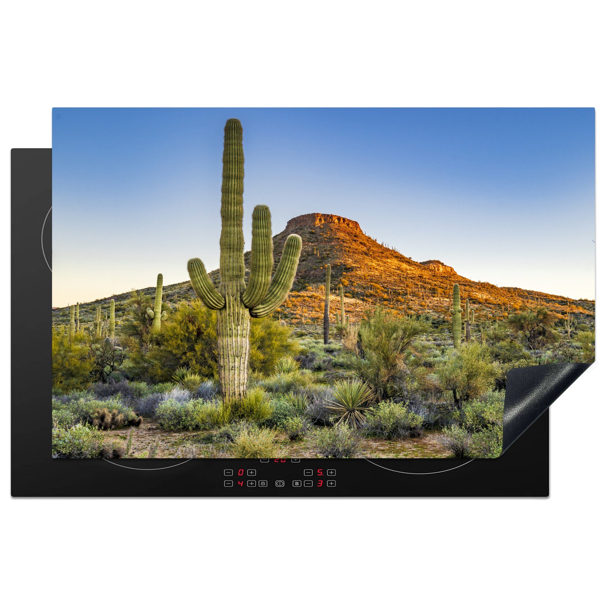 MuchoWow Herdblende-/Abdeckplatte Saguaro-Kaktus, Vinyl, (1 tlg), 81x52 cm, Induktionskochfeld Schutz für die küche, Ceranfeldabdeckung