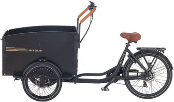 LLobe E-Bike Cargo E-Bike AITour Starter, 7 Gang Shimano, Kettenschaltung, Heckmotor, 634,2 Wh Akku, Feststellbremse