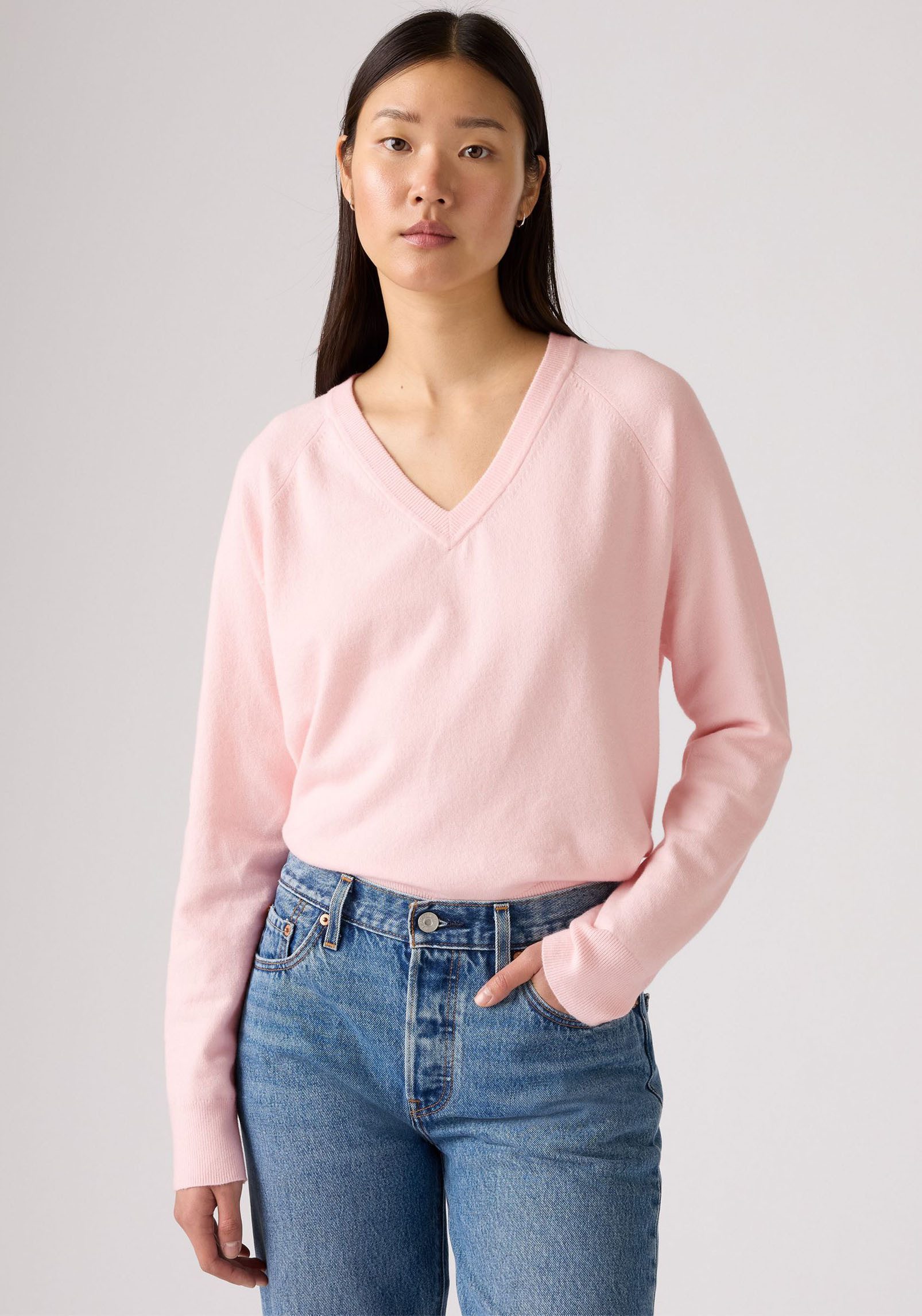 Levi's® V-Ausschnitt-Pullover SUPER SOFT VNECK PULLOVER im Bund beidseitig günstig online kaufen
